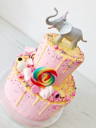 mariasweetcakery Olifant circus