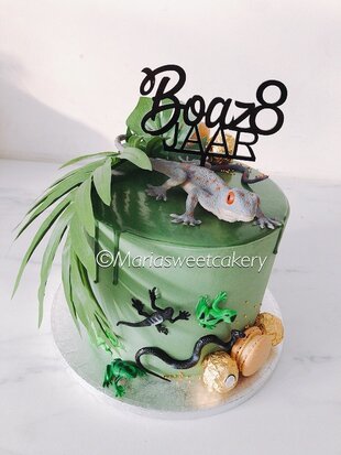 mariasweetcakery Reptielen Taart