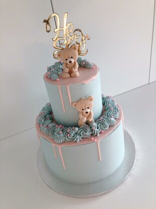 gender reveal teddy mariasweetcakery